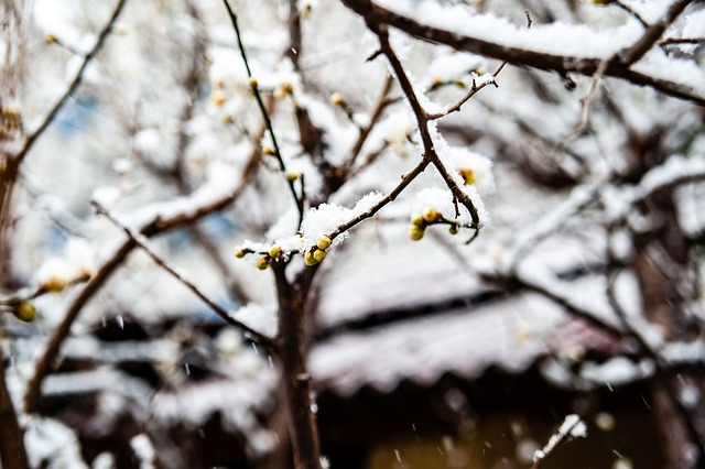 速拿分并随