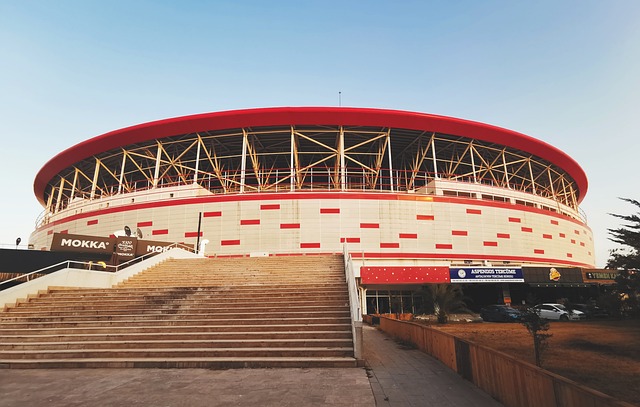 由于受印度 由于受印度