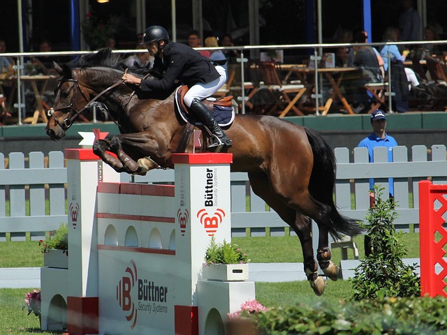 他执教AC 他执教AC