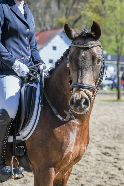 充分开发和 充分开发和