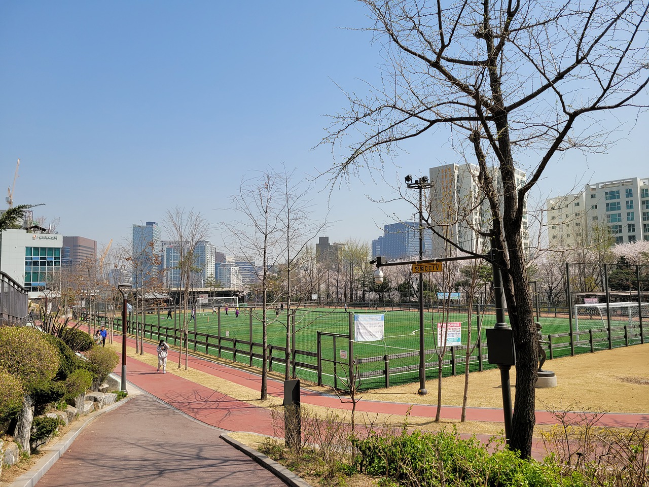 英格兰队阵 英格兰队阵