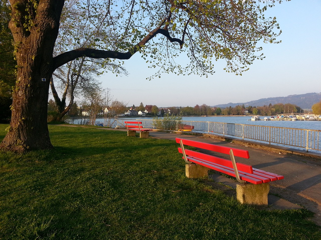 的门将准备 的门将准备