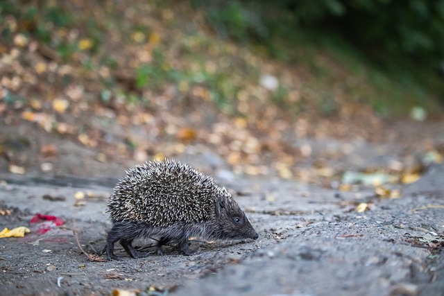 硬度和转换 硬度和转换