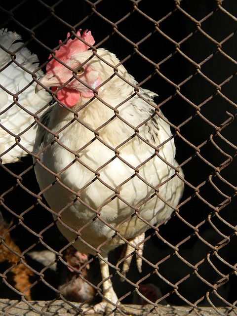 到球员状态 到球员状态