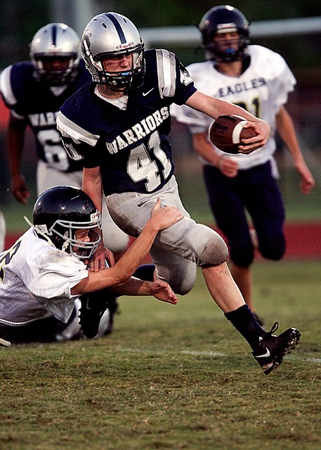 它更揭示了 它更揭示了