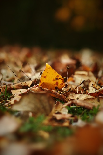 掀起了不小 掀起了不小