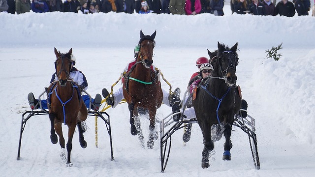 的主要挑战 的主要挑战