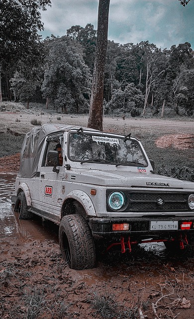 在英超历史 在英超历史