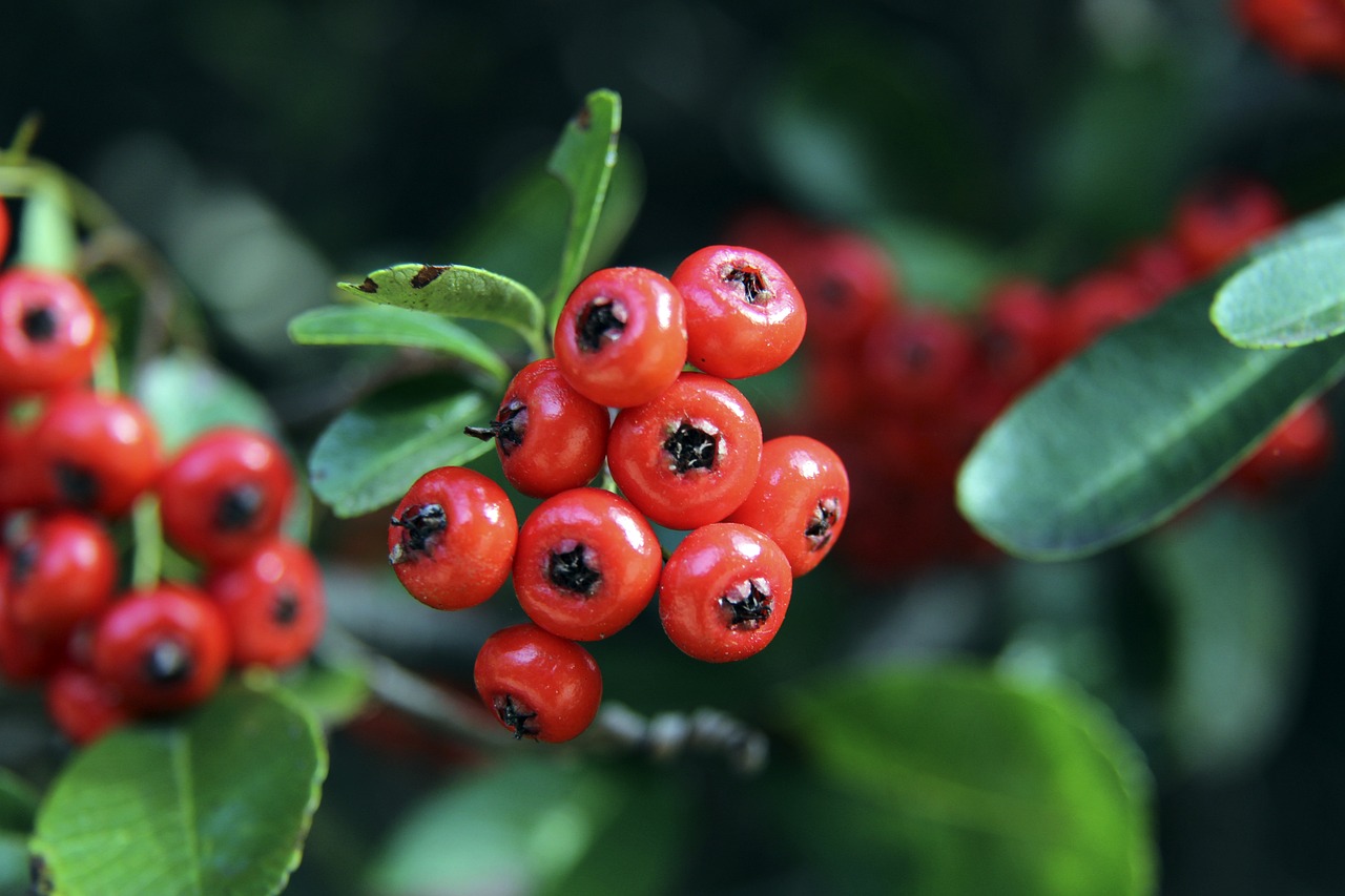 并利用多个 并利用多个