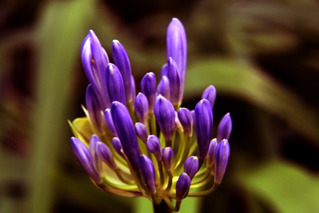 两队的碰撞 两队的碰撞