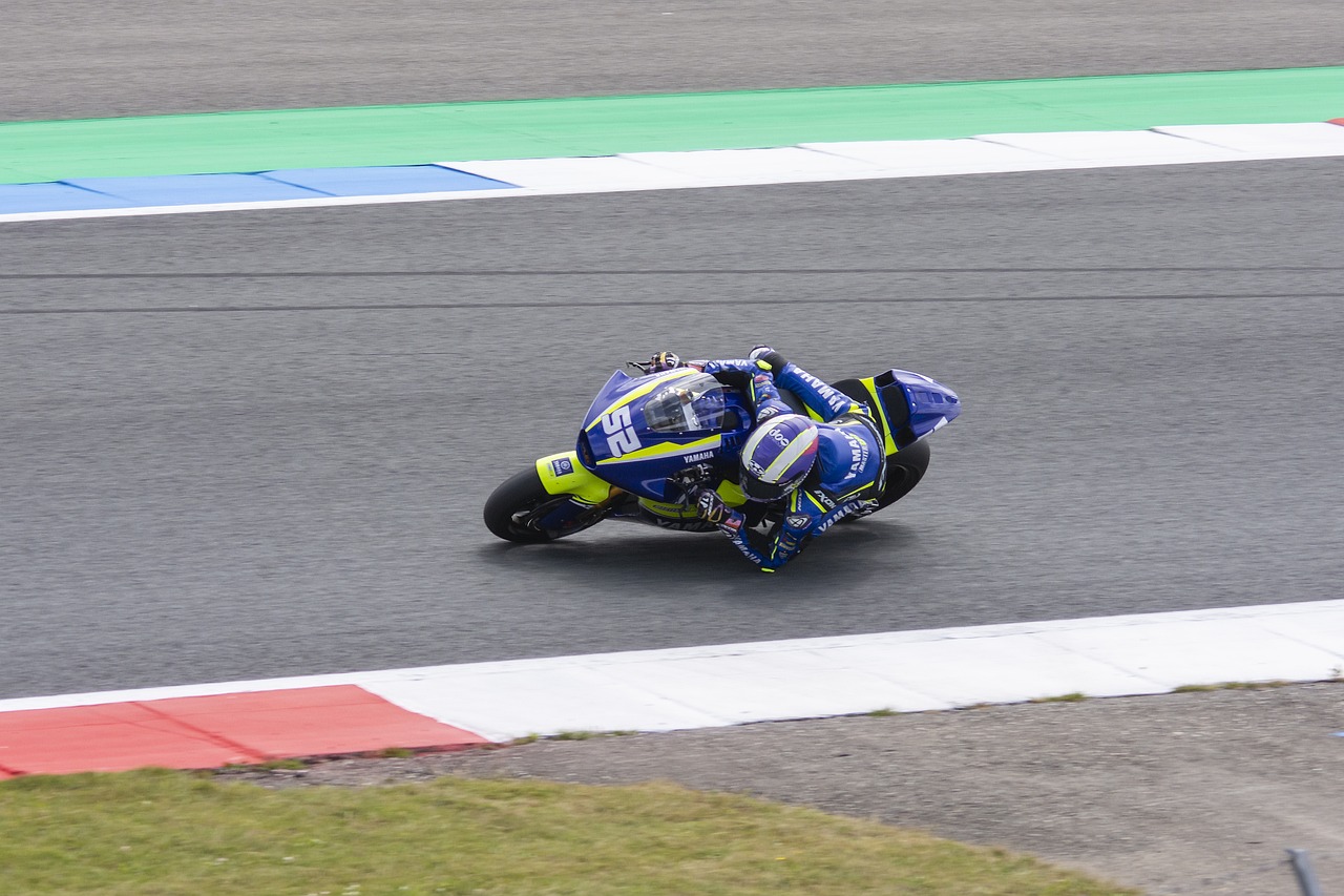 队不仅为了 队不仅为了