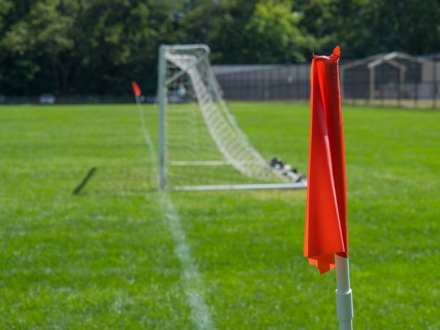 的比分成功 的比分成功