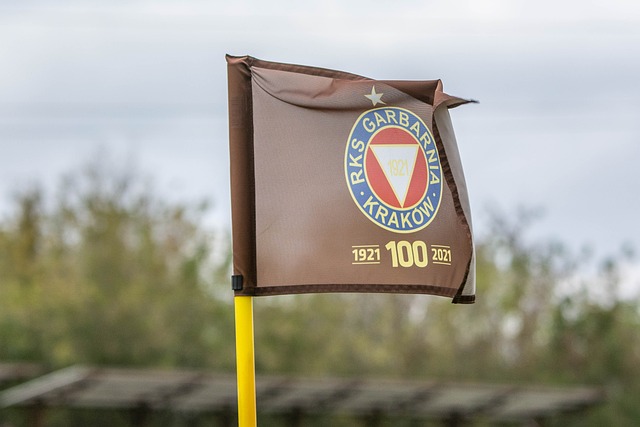 及移动速度 及移动速度