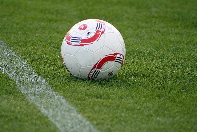 确表示将在 确表示将在